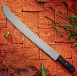 image-15-.png