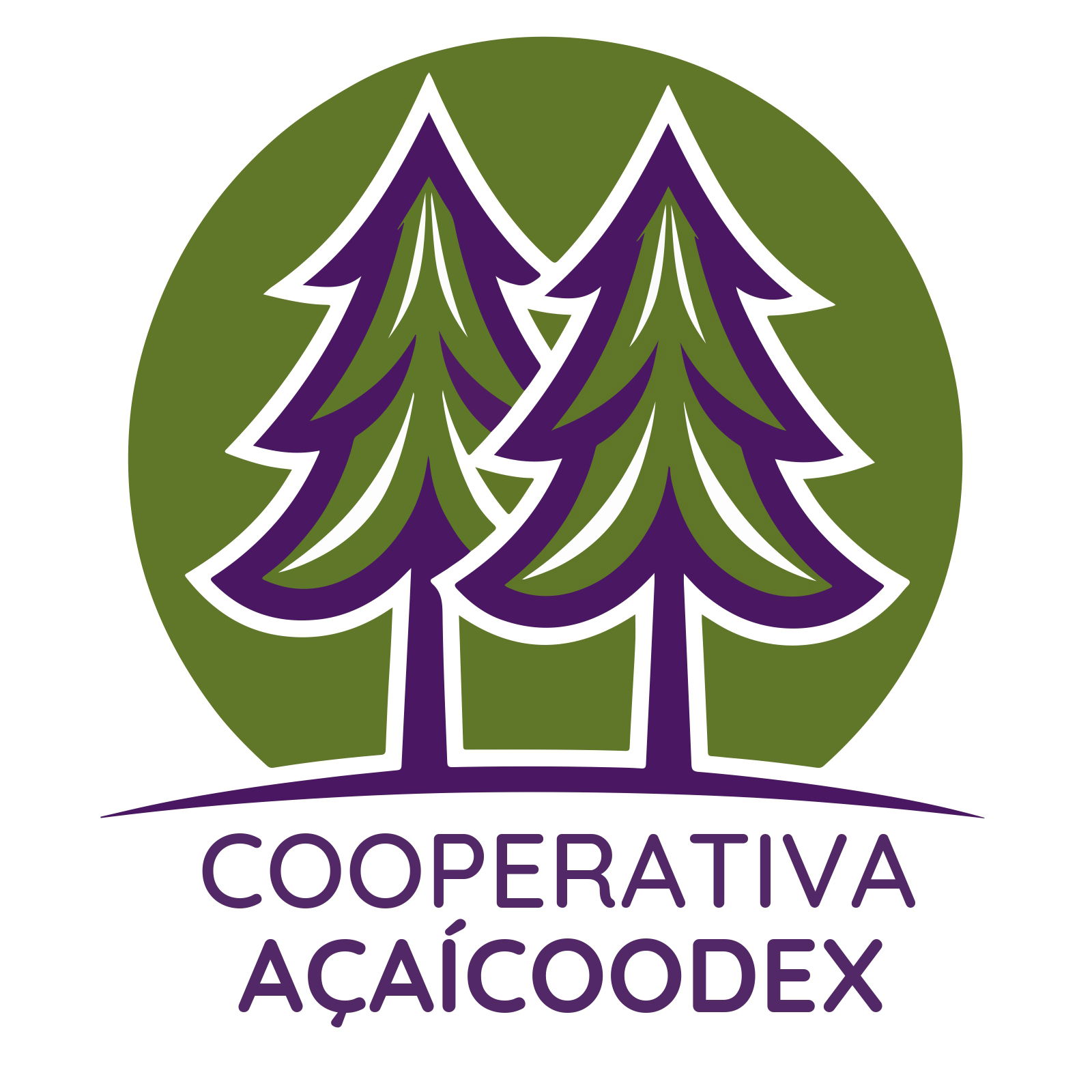 A-A-COODEX-COOPERATIVA--final-page-0001.jpg